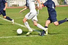 杨幂念错字,引热议,粉丝解读为,PP电子链接,PP电子官网地址,PP电子官方平台,PP电子入口站点