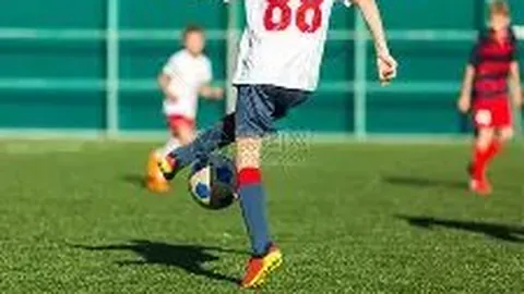 PP电子 产品 051735 ood