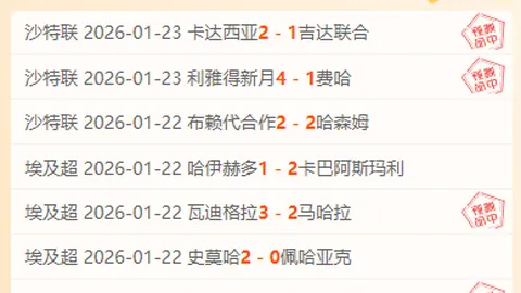[德甲]莱比锡新星努萨：突破标签束缚，勇攀自我巅峰